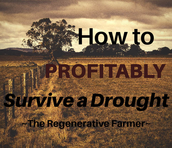 How to Profitably Survive a Drought